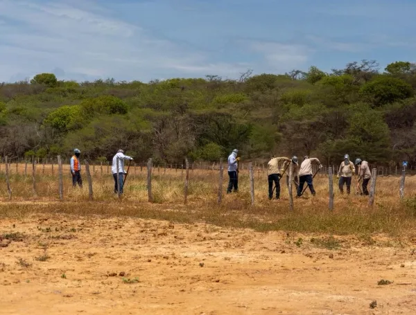 From Coal to Crops: The Green Transformation of La Guajira’s Mining Frontiers