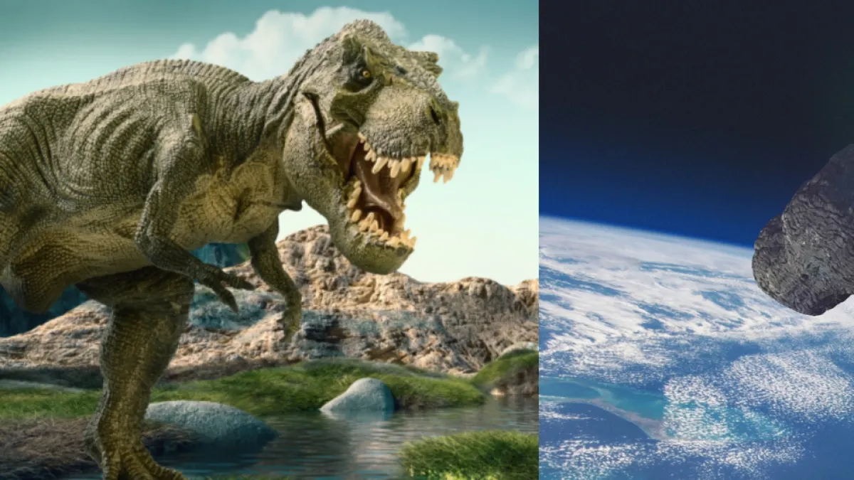 The Cosmic Lottery: Unraveling the Mystery of the Asteroid That Ended the Dinosaur Era