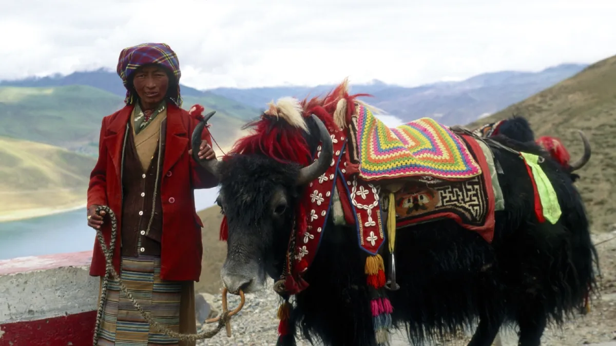 Chronicles of the Roof of the World: A Journey Through Lhasa, the Potala, and the Living Heart of Tibetan Spirituality