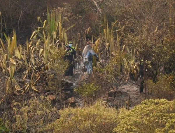 Critical Alert: Colombia’s Protected Ecosystems Under Siege as Wildfires Ravage Biodiversity Hotspots