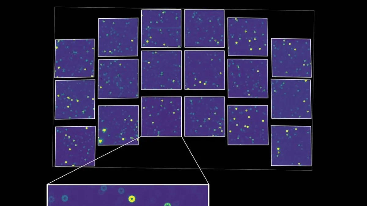 The Giant Eye Awakens: NASA’s Nancy Grace Roman Space Telescope Captures First Test Image